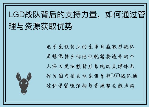 LGD战队背后的支持力量，如何通过管理与资源获取优势