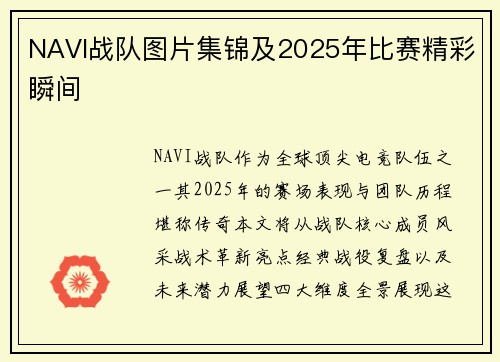 NAVI战队图片集锦及2025年比赛精彩瞬间