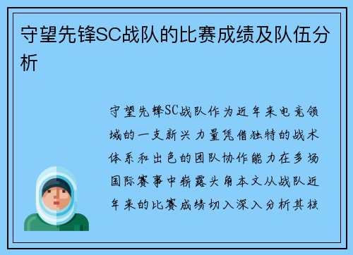守望先锋SC战队的比赛成绩及队伍分析