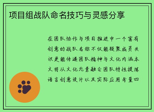 项目组战队命名技巧与灵感分享
